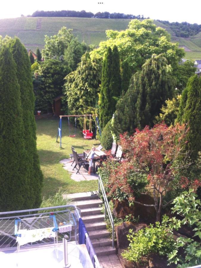 Doppelzimmer Mit Terrasse Zum Garten, Ruhig, Weinbergsblick, Zusaetzliches Kinderzimmer Anbei Moeglich Виннинген Экстерьер фото